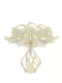 S A N D R A V O L L B R E C H T