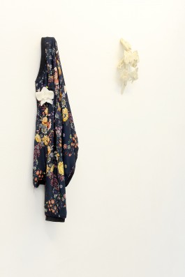 S A N D R A V O L L B R E C H T