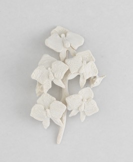 S A N D R A V O L L B R E C H T