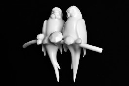 S A N D R A V O L L B R E C H T