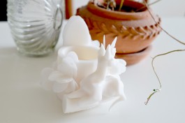 S A N D R A V O L L B R E C H T