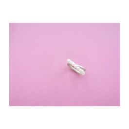 S A N D R A V O L L B R E C H T