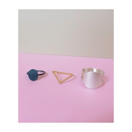 S A N D R A V O L L B R E C H T